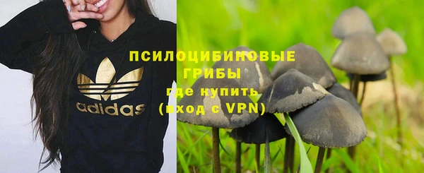 a pvp Алексин