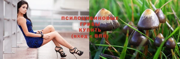 стафф Алзамай