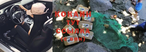 стафф Алзамай