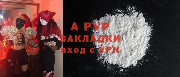 стафф Алзамай