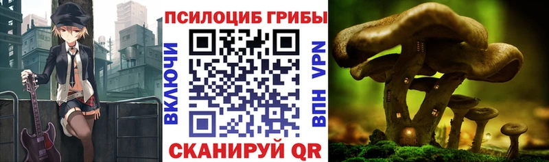 Галлюциногенные грибы мухоморы  Апрелевка 